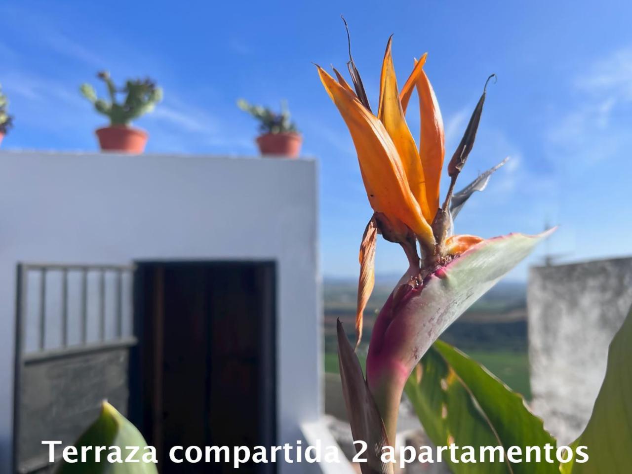Casa Abades Arcos De La Frontera Apartment Exterior foto